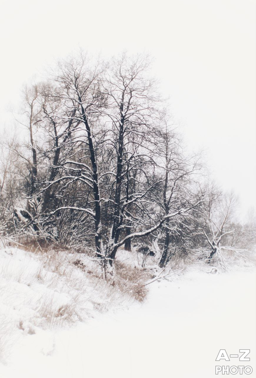 #ФОТОНЕДЕЛИ 12.01.2026. Женский семейный фотограф Тула Москва Захарова Анна