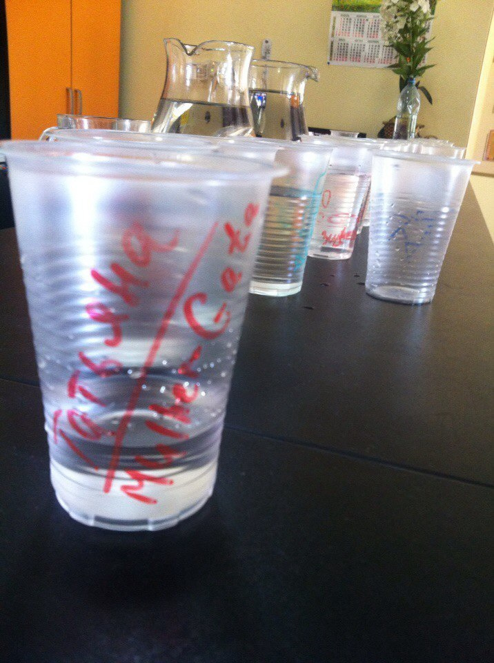 Каполагерь 2016 Казань. Капоэйра в Казани ABADÁ-Capoeira