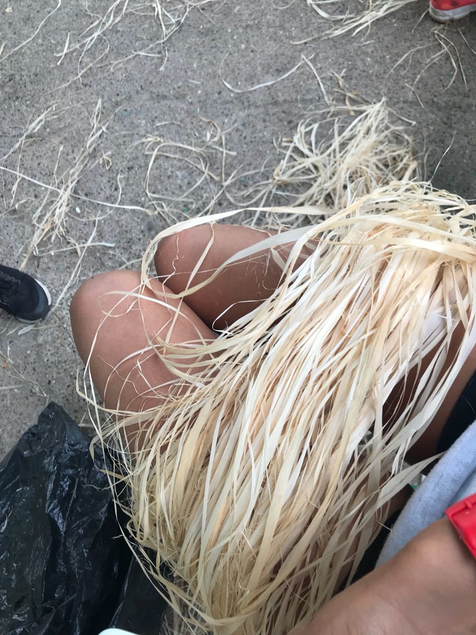 Каполагерь 2018 Олимпиец. Капоэйра в Казани ABADÁ-Capoeira