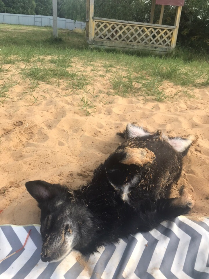 Каполагерь 2018 Яльчик. Капоэйра в Казани ABADÁ-Capoeira