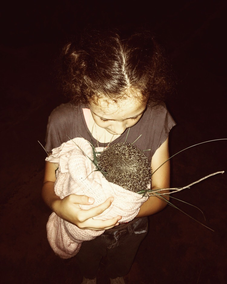 Каполагерь 2018 Яльчик. Капоэйра в Казани ABADÁ-Capoeira