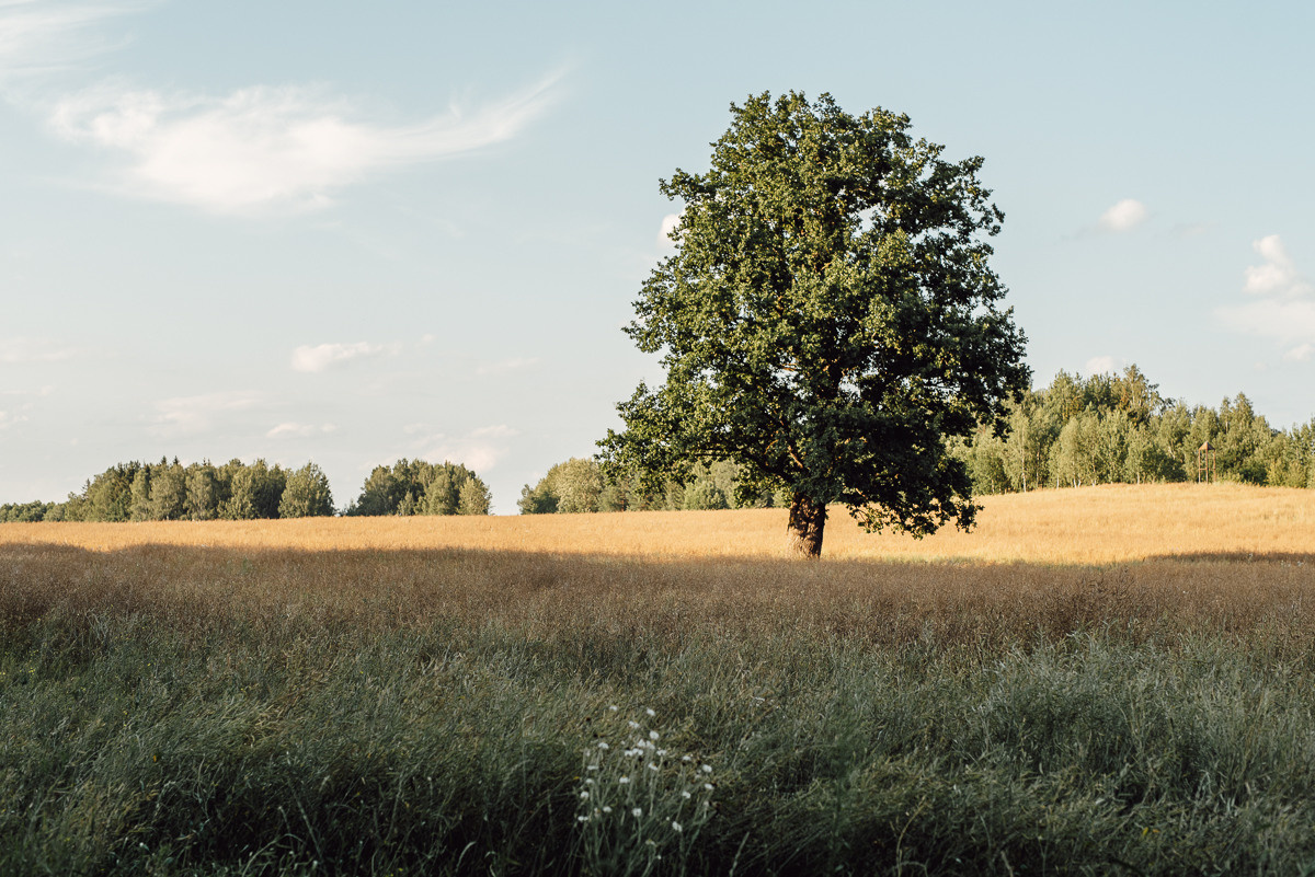 Family moments: Kristina, Sasha, Alisa & Yanya. Family photographer in Israel | Alesya Superfin
