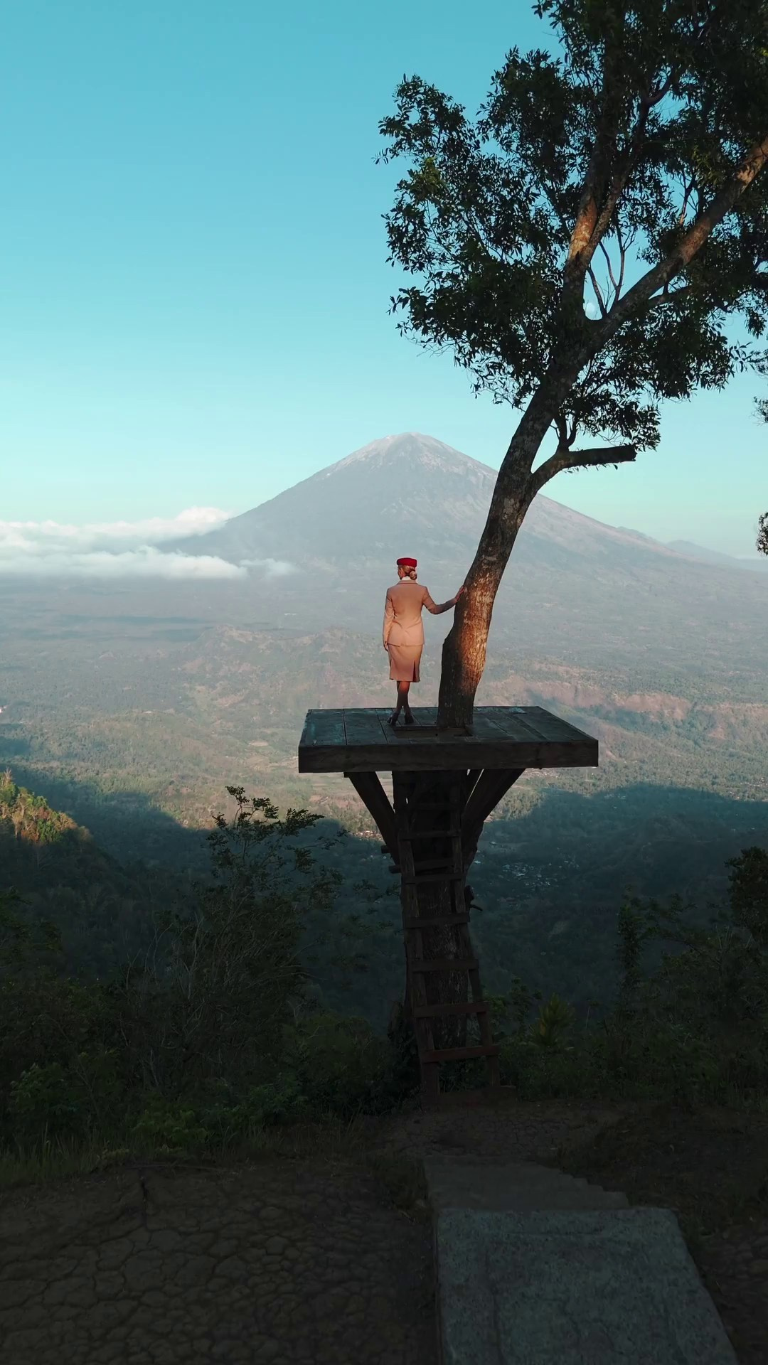 Video. Vladimir Ulianov