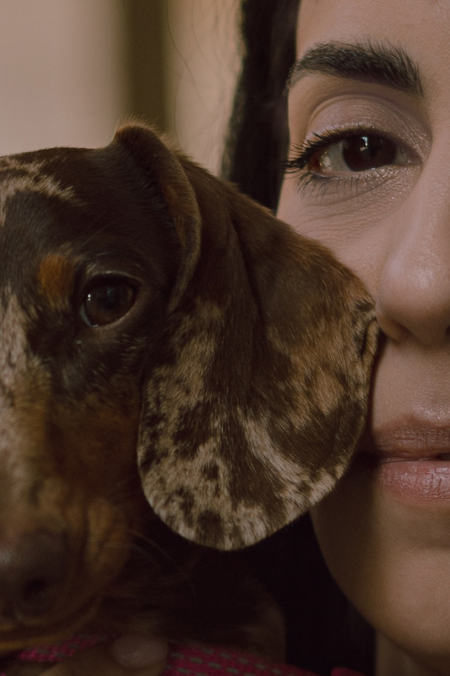 Каринэ и Келли. Фотограф — анималист •love-story•|Санкт-Петербург