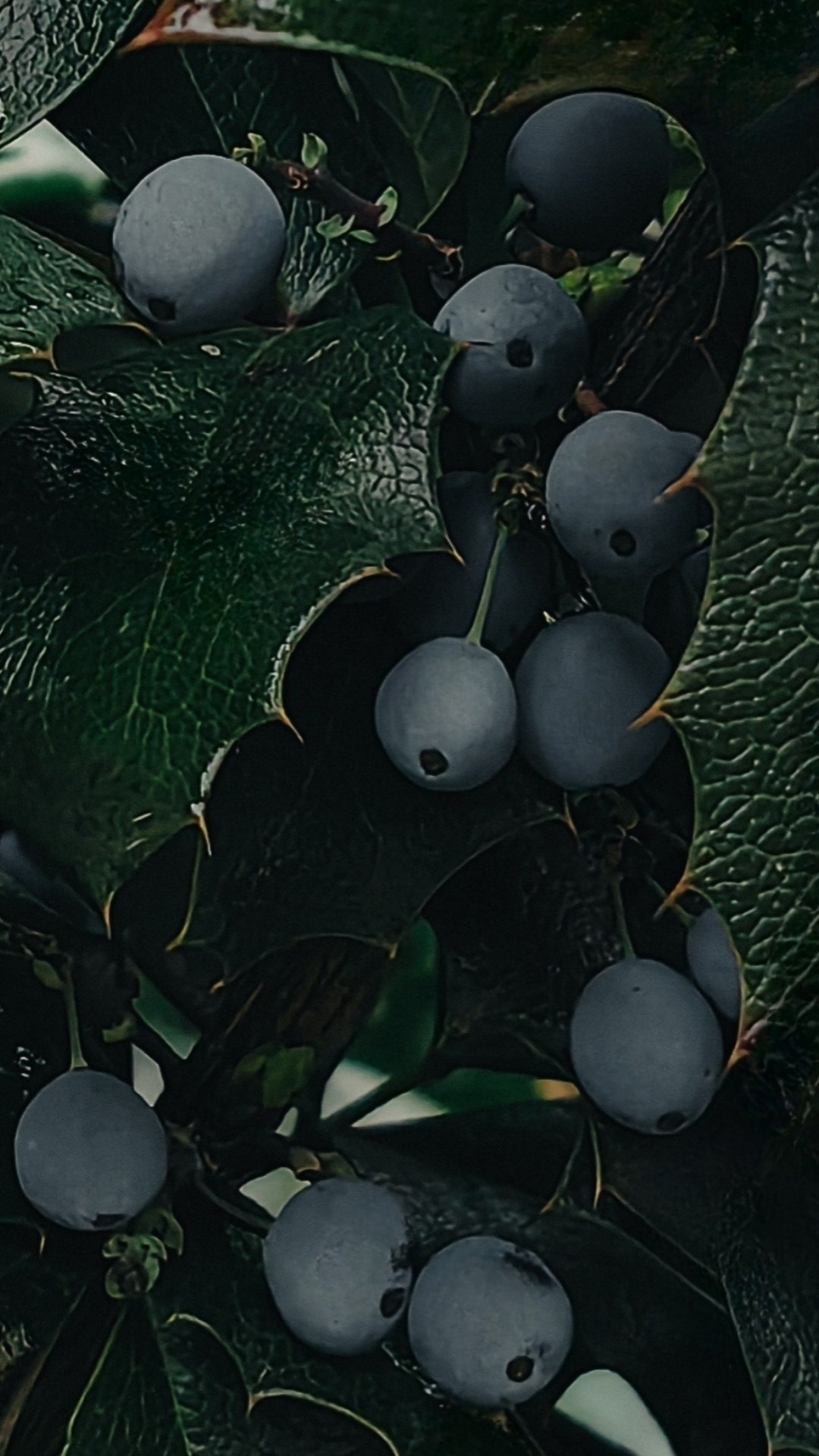 Академия фотографии. Фото/Ретушь/Обучение