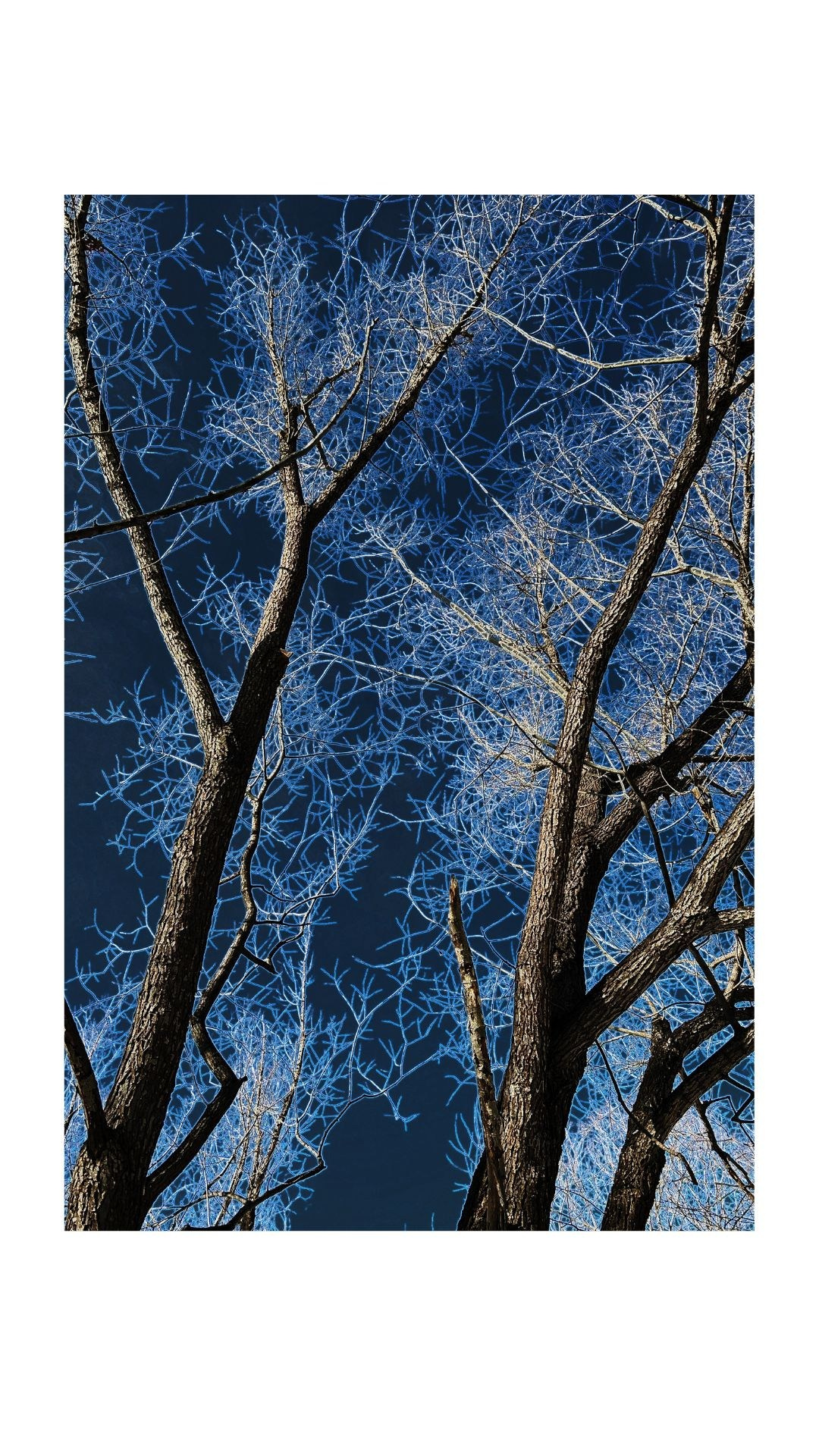 Зима по-сибирски. Главная