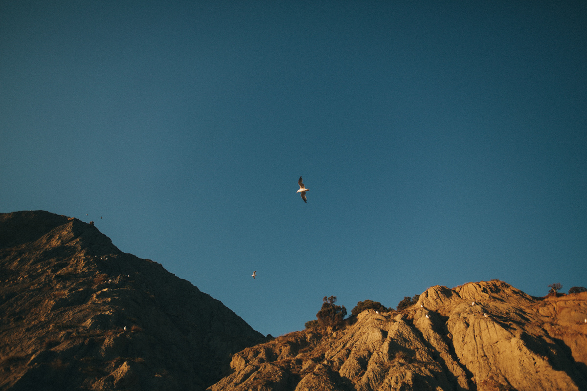 Седьмой Лепесток. Соня Черных (sophieblack)