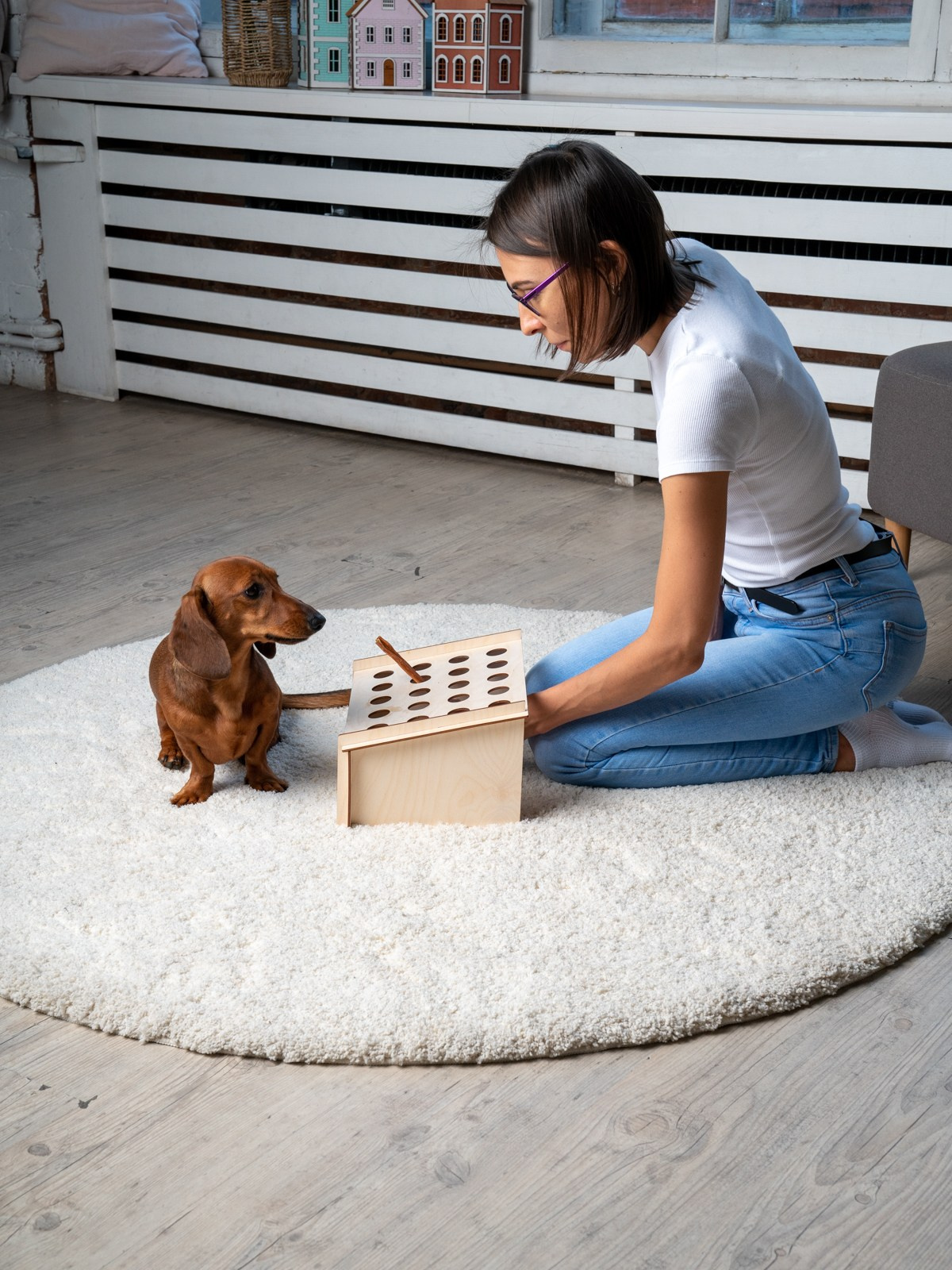 Съемки с животными. КЕД Студия-контент агентство полного цикла СПБ. Создаём фото, видео и контент, который помогает брендам и селлерам продавать больше