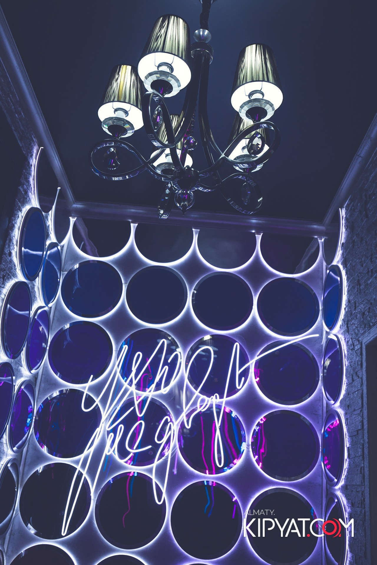 УХО И МЕДВЕДЬ НА ГАГАРИНА. КИПЯТКОМ АЛМАТЫ!