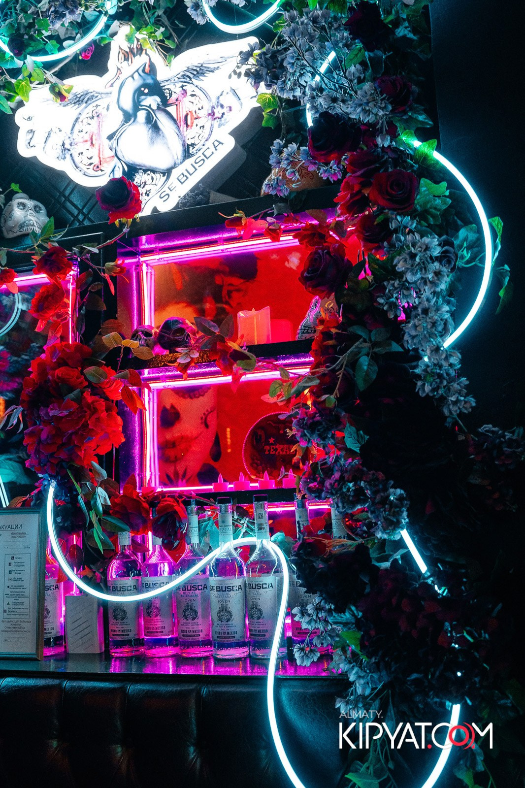 VICTORY MEXICAN AND WILD. КИПЯТКОМ АЛМАТЫ!