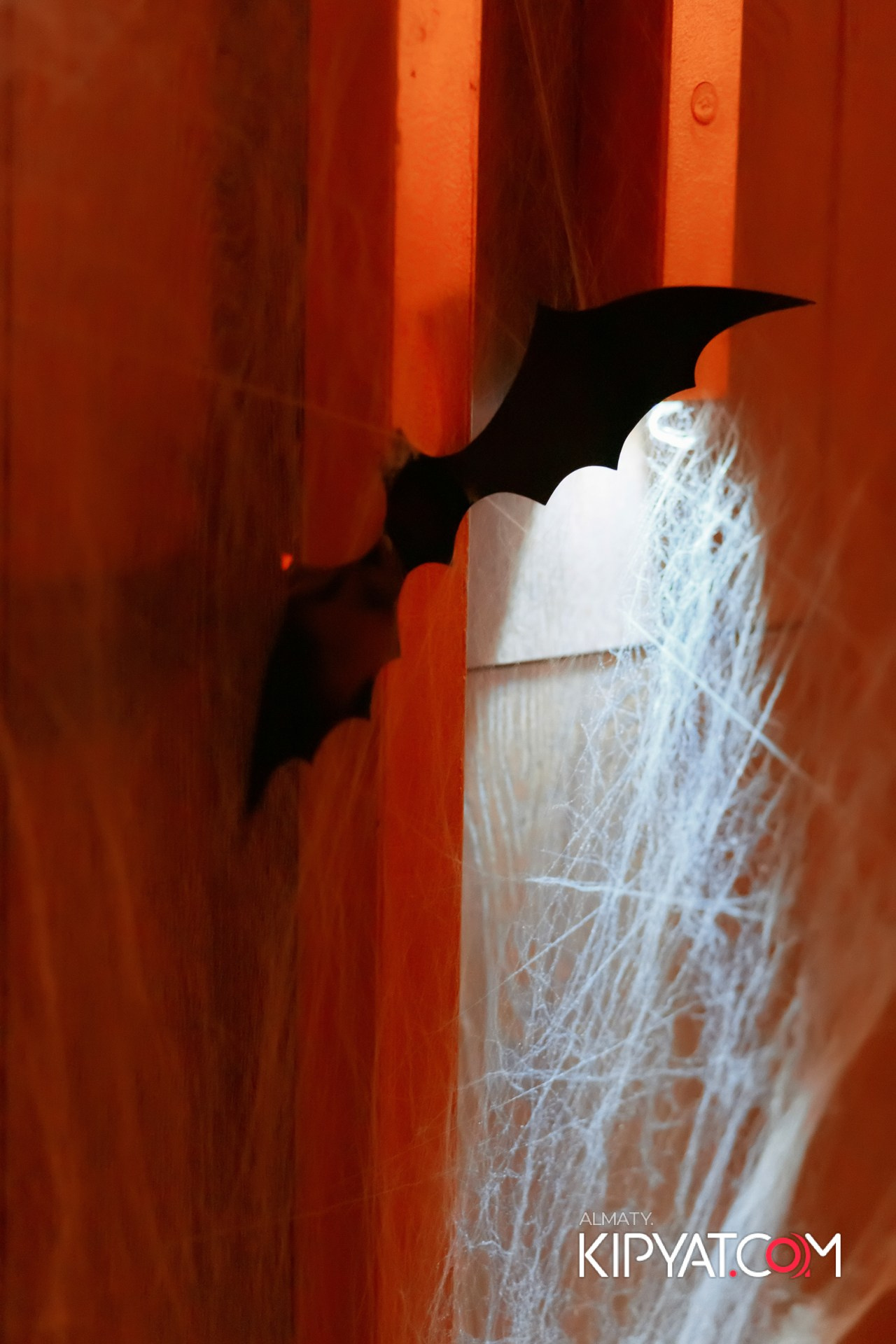 СУХОЙ ЗАКОН. КИПЯТКОМ АЛМАТЫ!