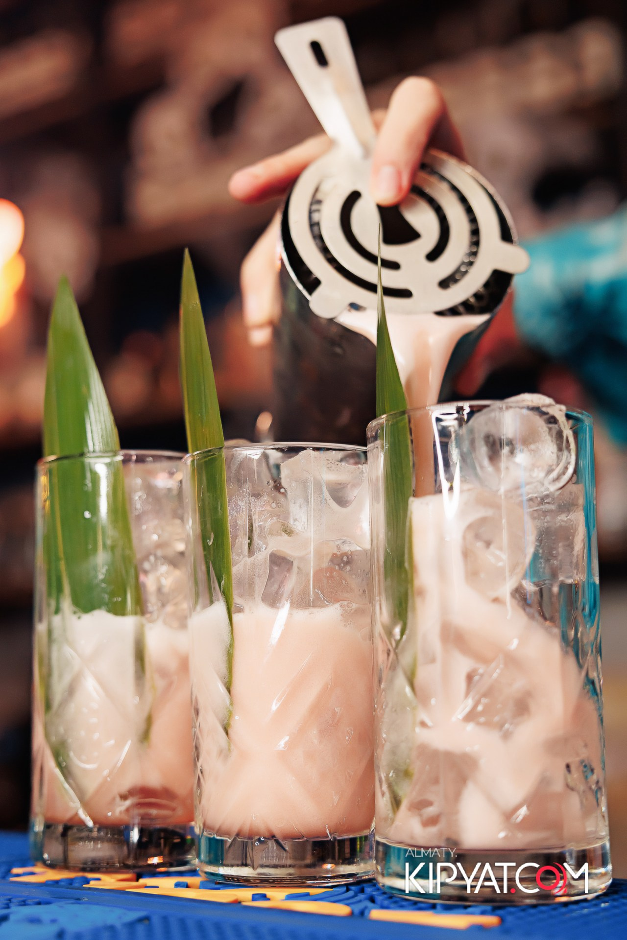 VICE CITY. КИПЯТКОМ АЛМАТЫ! Фотосъемка мероприятий в Алматы