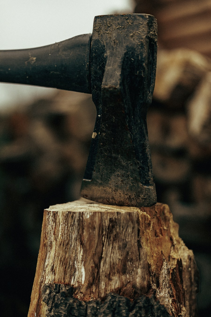 Ферма Альпак Владивосток. Oskar Dallas — professional photographer in Moscow