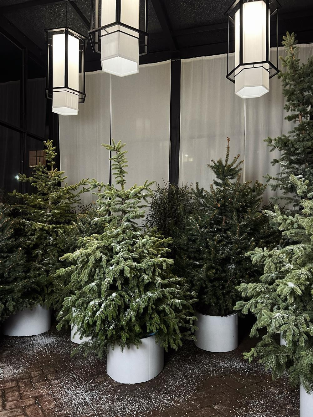 Фотостудии для свадебной фотосессии в Краснодаре. Свадебный фотограф и видеограф Краснодар, Ростов, Сочи, Новороссийск