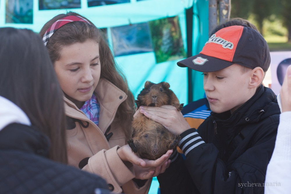 Ярмарка талантов. Детский и семейный фотограф, фотограф мероприятий Нижний Новгород