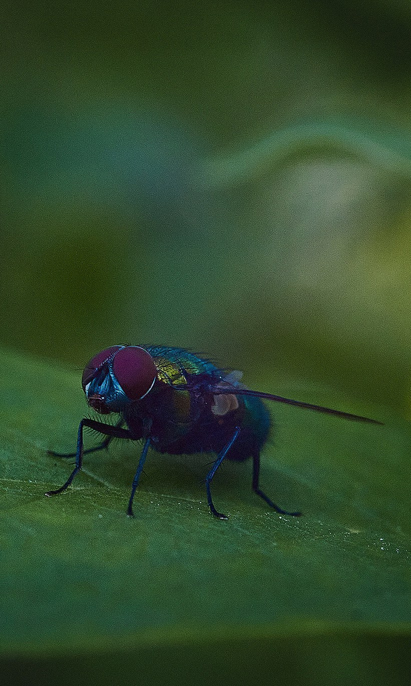 Международная онлайн-фотошкола Сергея Рожнова