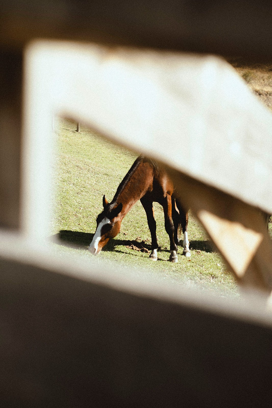 Prints. North Ossetia