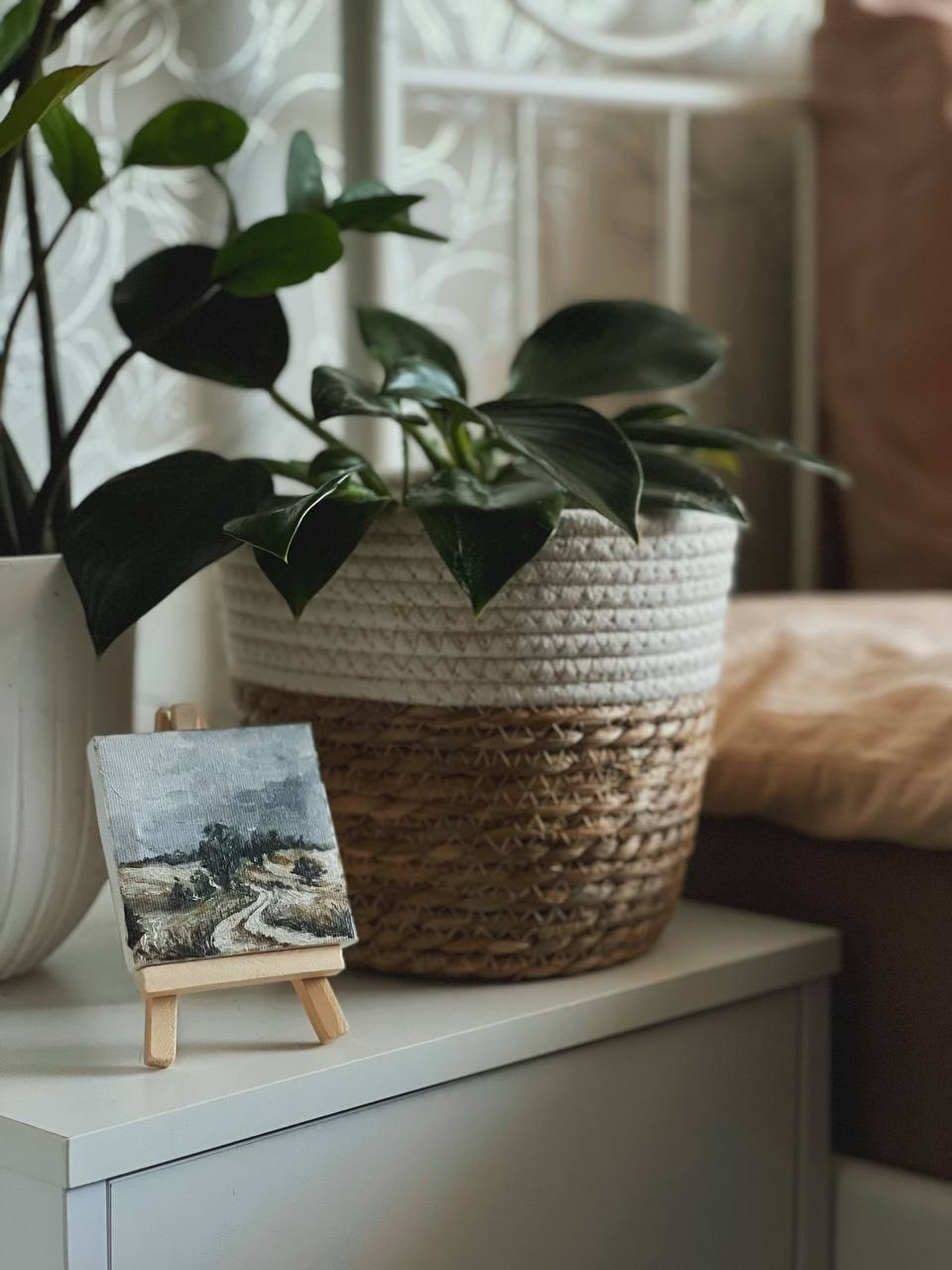 Иллюстрация. Фотограф Ольга Сальманович