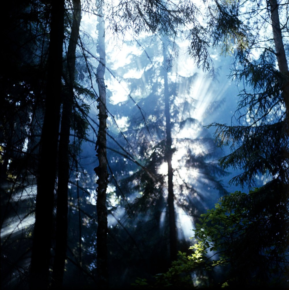 Лето. ВАДИМ ГИППЕНРЕЙТЕР — ВЕЛИКИЙ ФОТОГРАФ ЗЕМЛИ РУССКОЙ