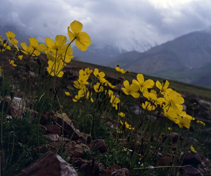 Памир и его предгорья. ВАДИМ ГИППЕНРЕЙТЕР — ВЕЛИКИЙ ФОТОГРАФ ЗЕМЛИ РУССКОЙ