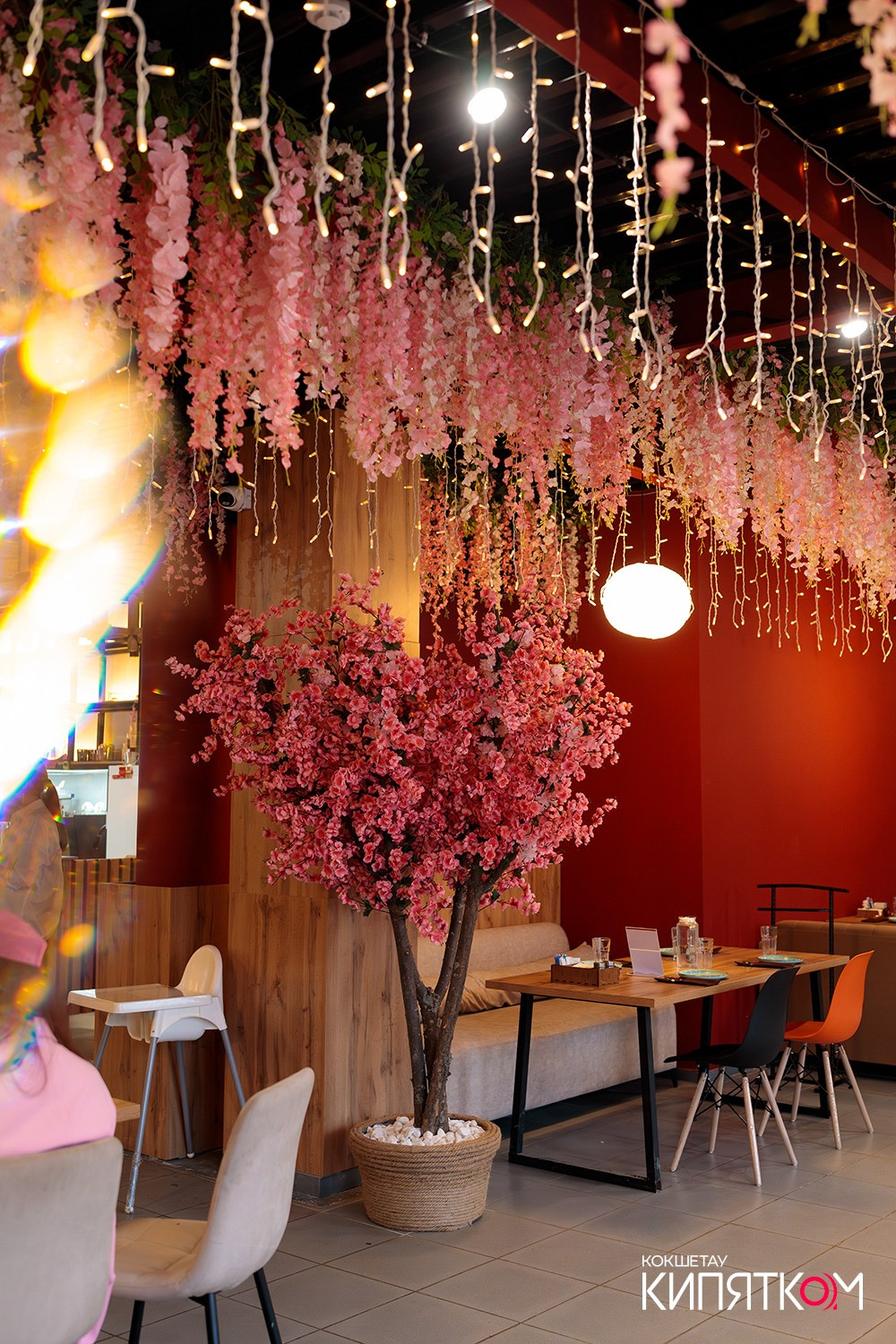 HANAMI ОТКРЫТИЕ. КИПЯТКОМ КОКШЕТАУ