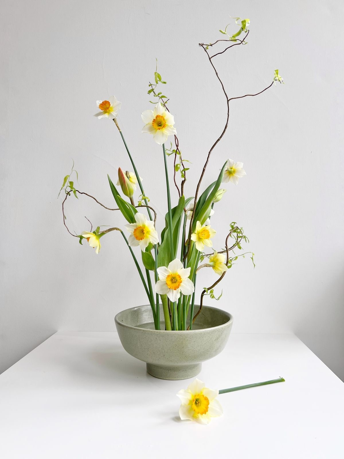 Авторская флористика. CKflora