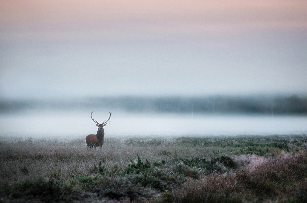 Школа экскурсоводов #блогiналiбокi. Андрей Бортников. Рекламный фотограф в Грузии