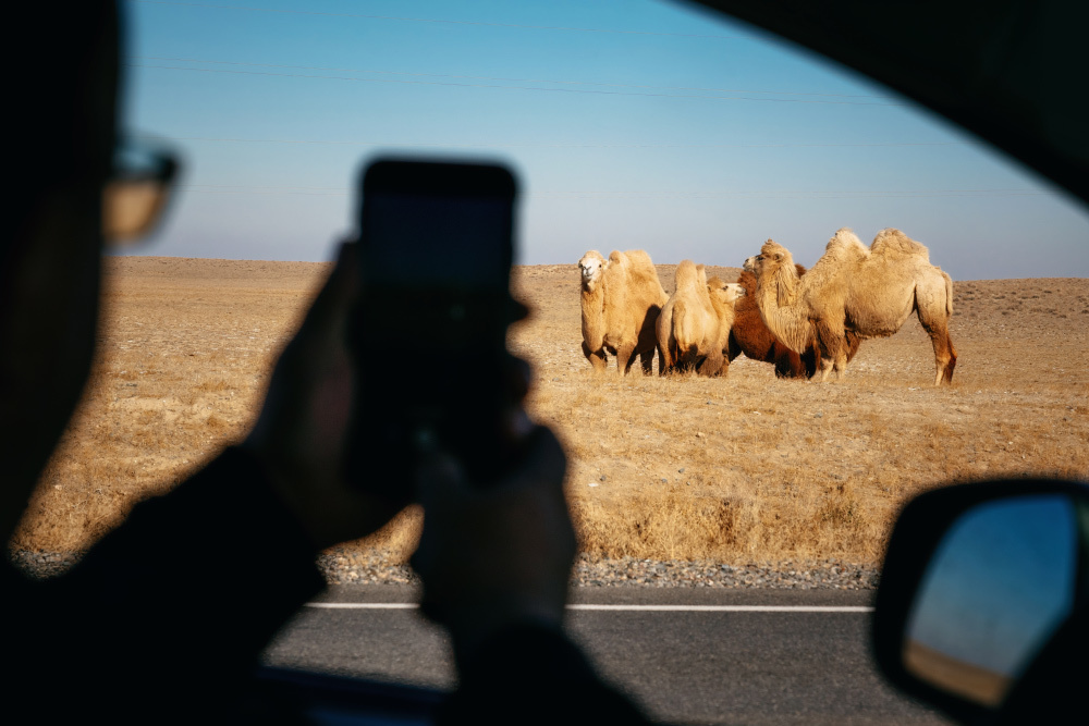 #TashkentMinsk2019 на Ravon. Andrei Bortnikau photographer in Tbilisi, Georgia