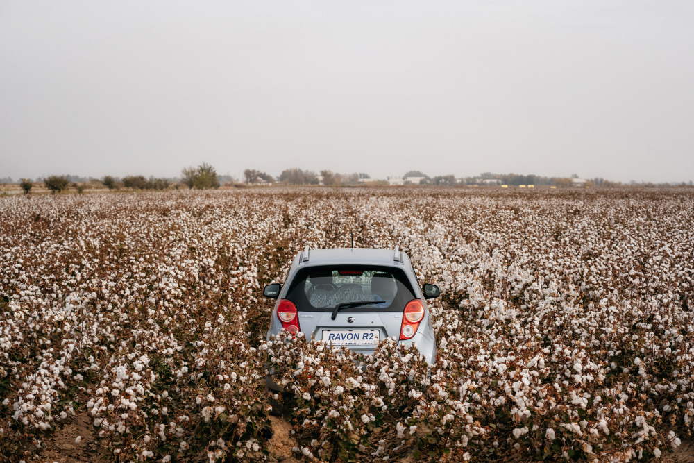 #TashkentMinsk2019 на Ravon. Andrei Bortnikau photographer in Tbilisi, Georgia