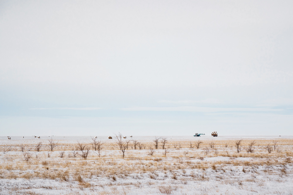 #TashkentMinsk2019 на Ravon. Andrei Bortnikau photographer in Tbilisi, Georgia