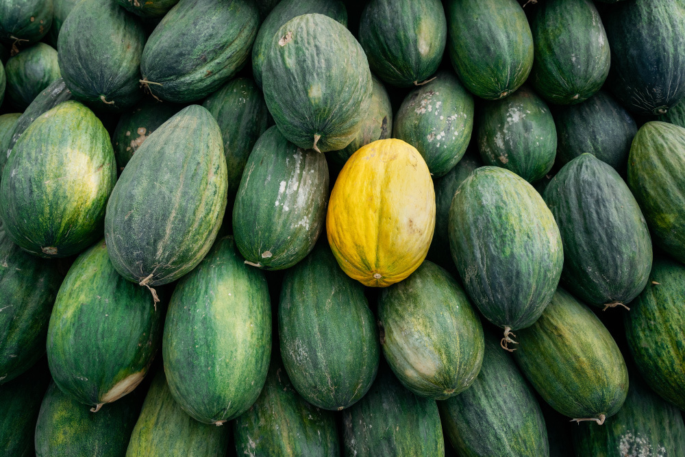 #TashkentMinsk2019 на Ravon. Andrei Bortnikau photographer in Tbilisi, Georgia
