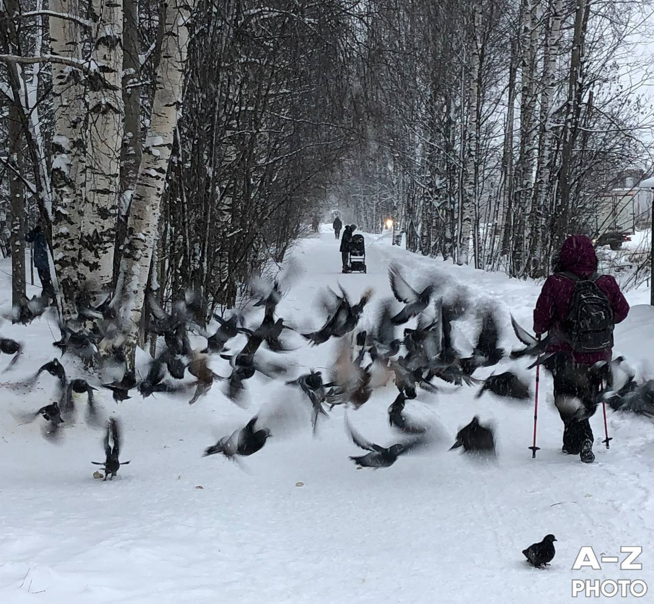 #ФОТОНЕДЕЛИ 09.02.2026. Женский семейный фотограф Тула Москва Захарова Анна