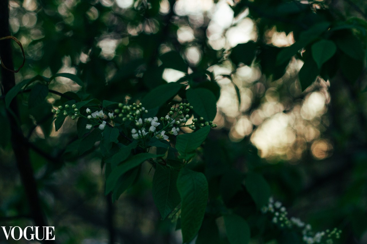 Мои публикации в итальянском журнале VOGUE. Ольга Степанова фотограф визажист в Санкт-Петербурге