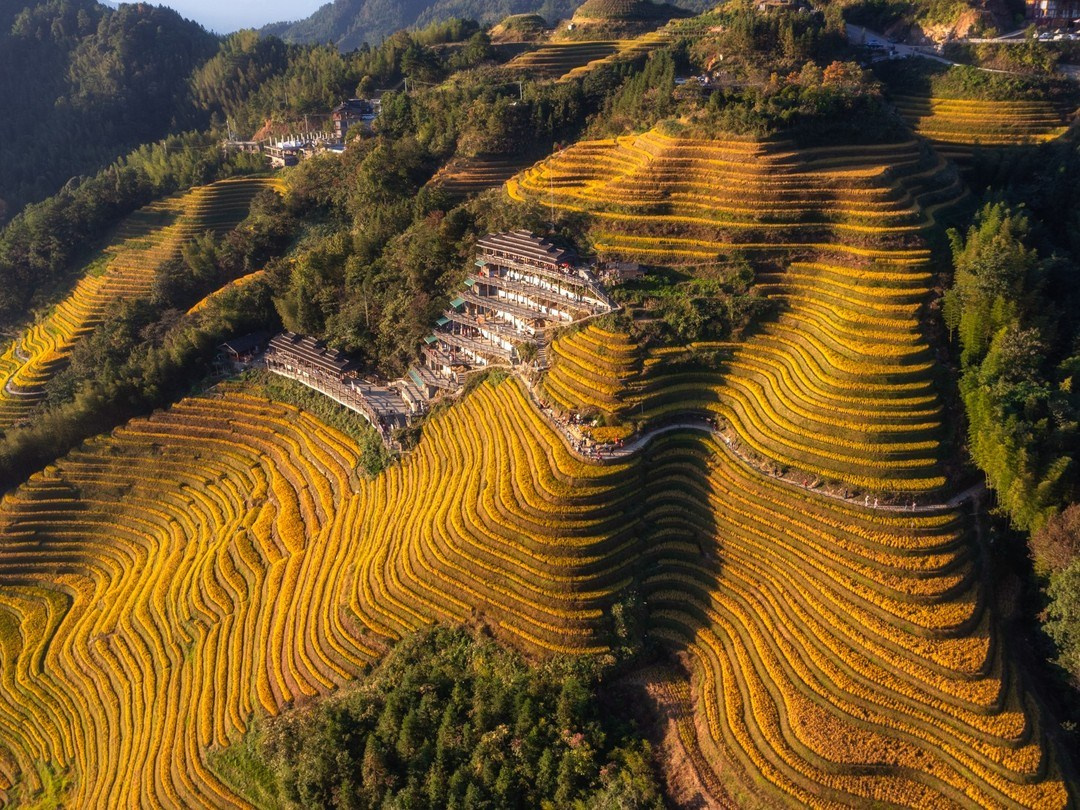 Гуанчжоу — Яншо — Дажай — Фэнхуан — Чжанцзяцзе. Семейный и детский фотограф Margo Photolab в Москве