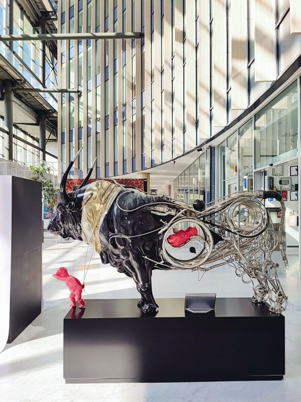 Намобилкус казахский. Репортажный фотограф Алексей Пирязев