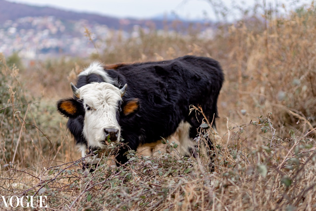 Публикации. Семейный и детский фотограф в Москве Анна Чертополох