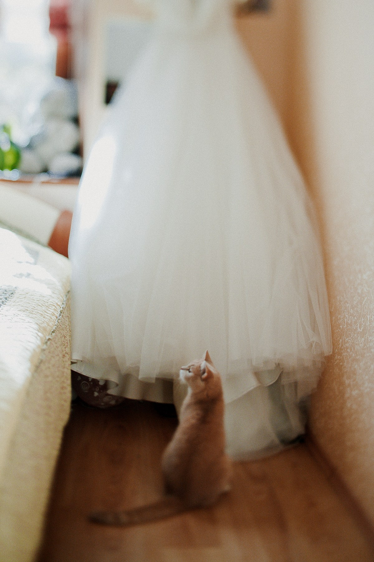 Свадебная прогулка Алекса и Даши. Фотограф крещение венчание в Петербурге! Помогает подобрать храм и посоветовал душевного батюшку в СПб