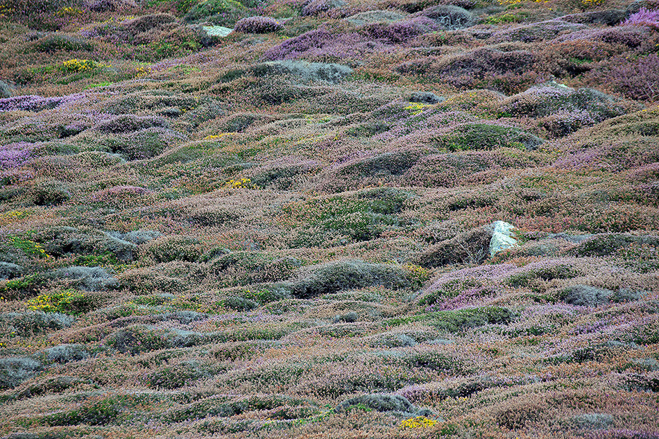 Бретань. Берег.