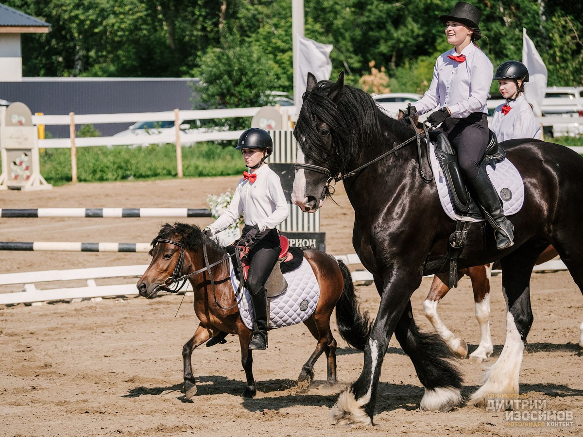 Скачки фаворитов 2024