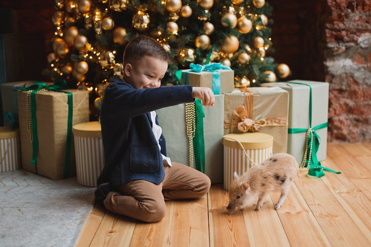 ОЛЬГА, ТИМОФЕЙ, АНДРЕЙ И ФАРИОН. Семейный фотограф новорождённых в Серпухове Юлия Новикова +79637785957