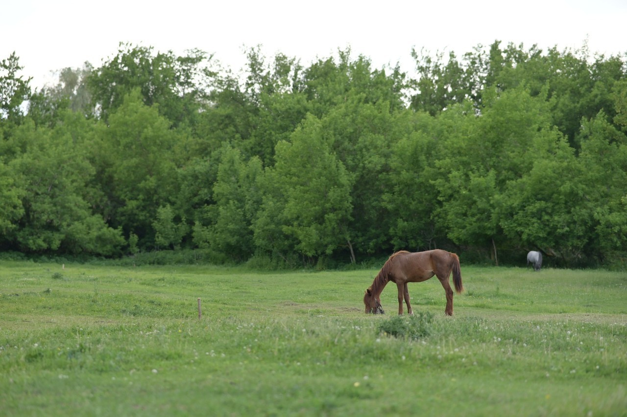Отзывы. Фотограф в Стерлитамаке