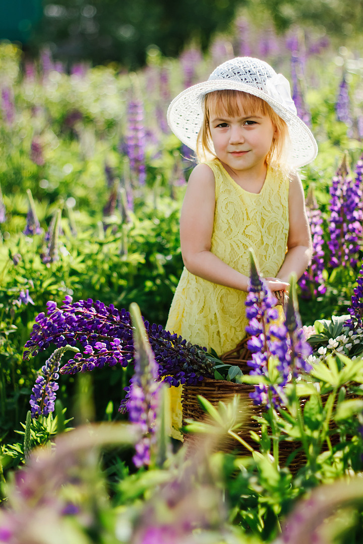 Фотосессия с люпинами. Контентный фотограф в Перми Натали Кытманова