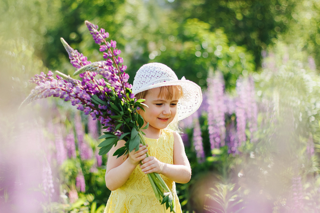 Фотосессия с люпинами. Контентный фотограф в Перми Натали Кытманова