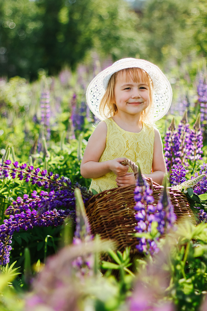 Фотосессия с люпинами. Контентный фотограф в Перми Натали Кытманова