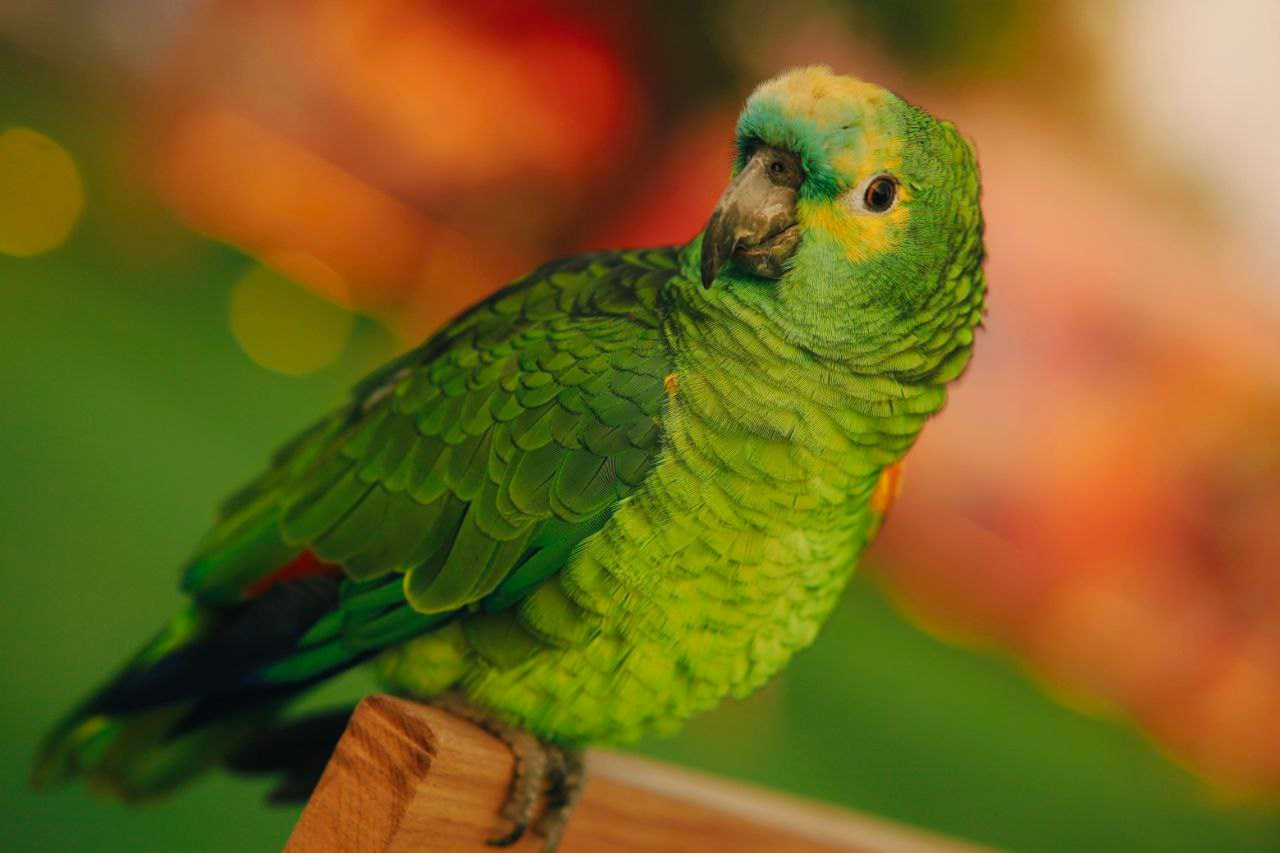 Эль-Джубайль. СА. 2025. Фотограф Михаил Олейник