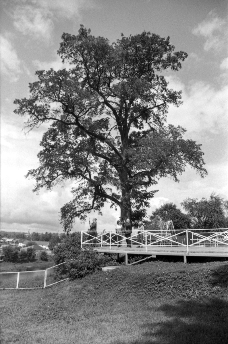 Ускользающие мгновения. Фотограф Юлия Близнецова