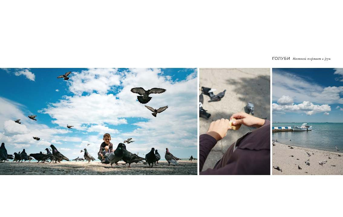 BEST FAMILY BOOK 2017