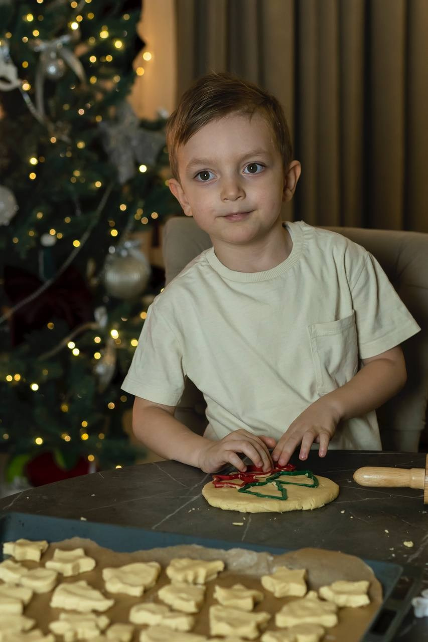 Домашние Новогодние. Brand photographer