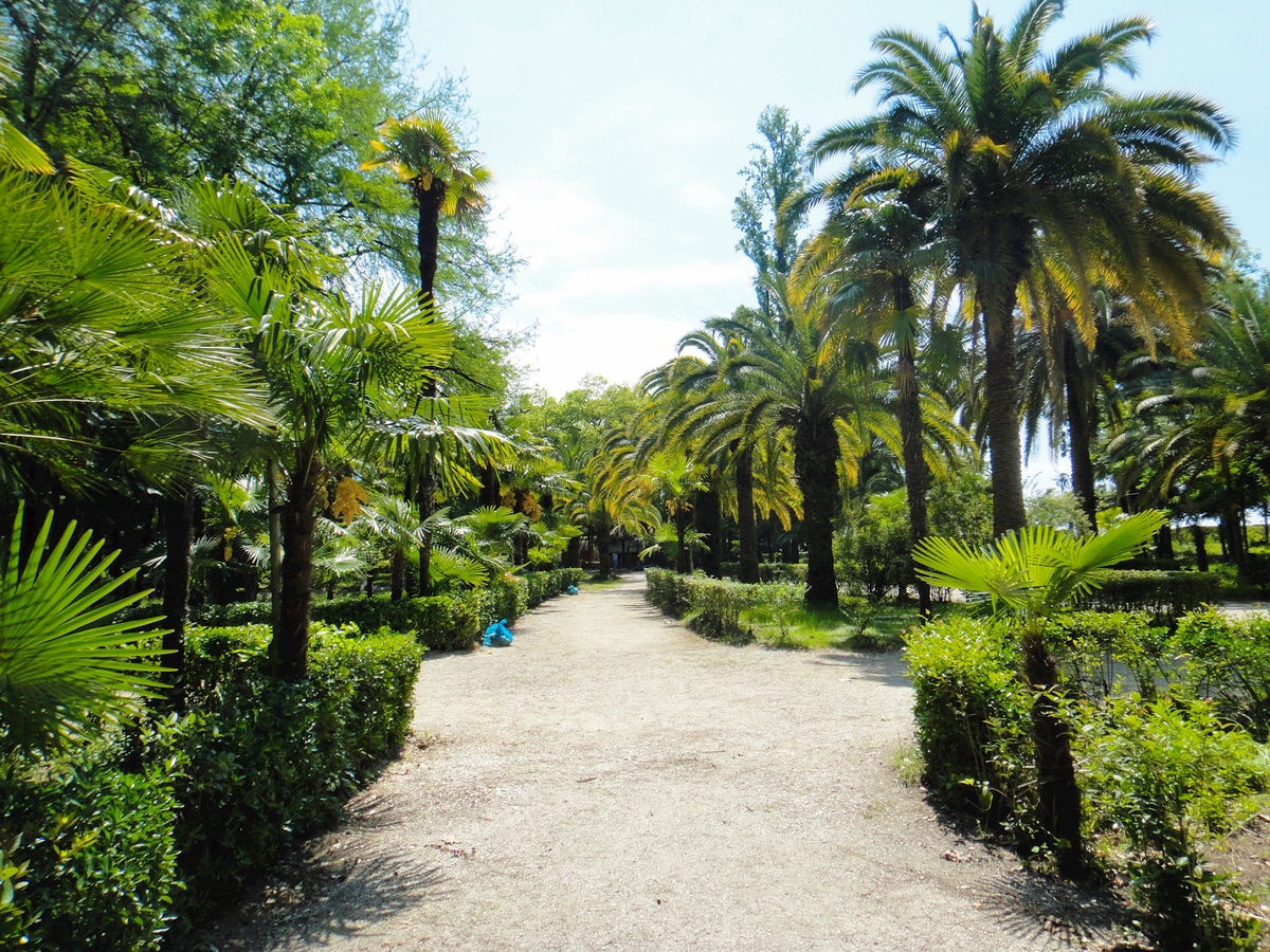 Весенний тур в Гагры «Леди-Миледи». Фотограф Таня Тощевикова