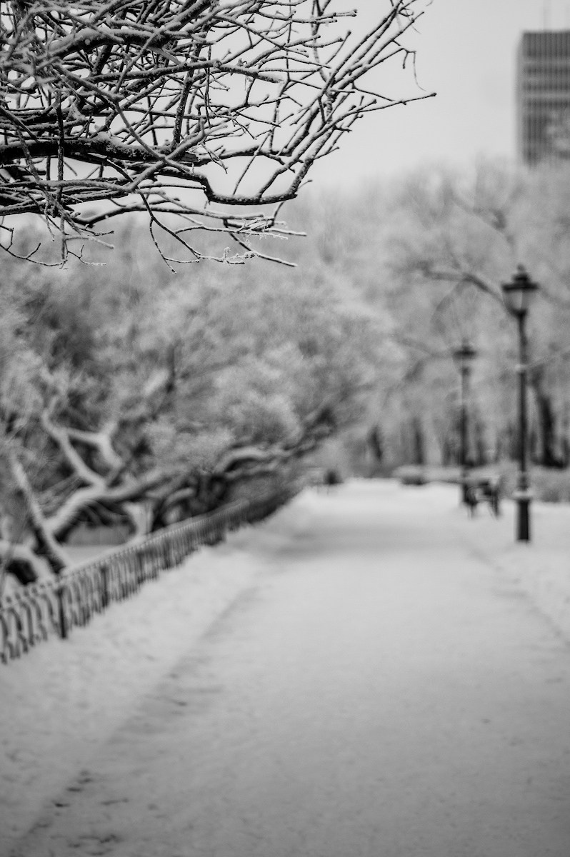 Пейзаж. Портретный фотограф в Москве Михаил Воронцов